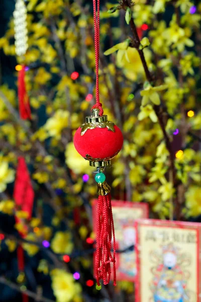 Kinesiska Lunar Nyår Gult Träd Dekorerat För Vietnamesiska Tet Fest — Stockfoto