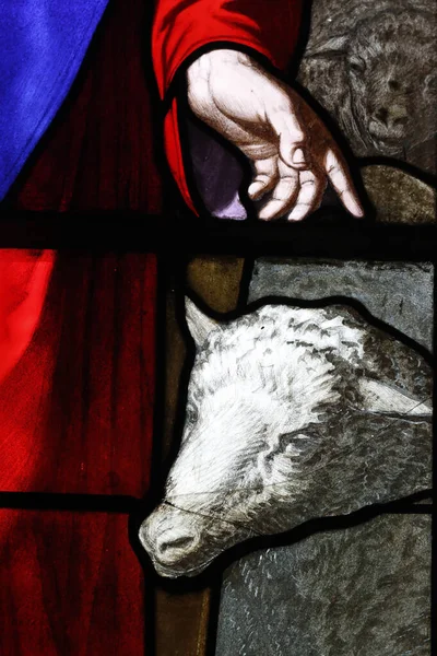 Jesus Good Shepper Close Stained Glass Window France — Stock Photo, Image