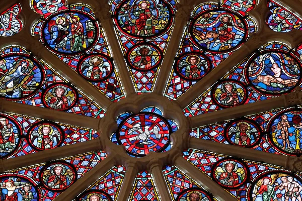Собор Святого Иоанна Иоанна Витражи Окно Двух Адамов Франция — стоковое фото