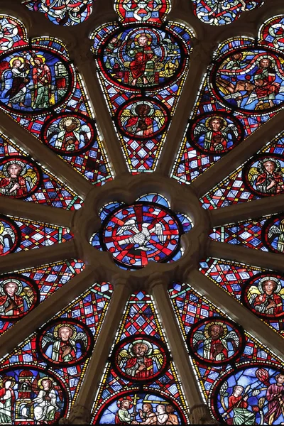 Собор Святого Иоанна Иоанна Витражи Окно Двух Адамов Франция — стоковое фото