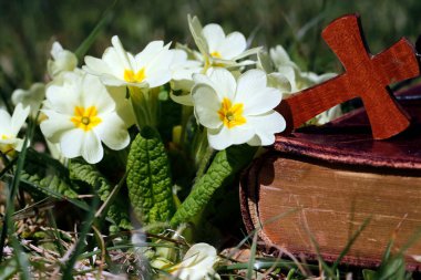 Hristiyan haçı, baharda çimenlerin üzerinde çim gülleriyle İncil.