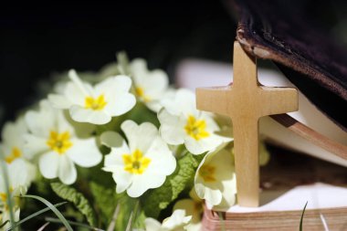 Hristiyan haçı, baharda çimenlerin üzerinde çim gülleriyle İncil.