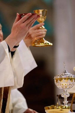 Saint Francois de Sales Bazilikası. Katolik ayini. Ayin kutlaması. Thonon. Fransa. 