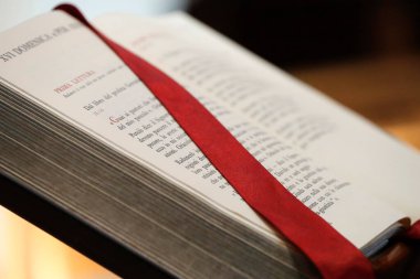 Sözlüğü aç. Santa Maria Asssunta Kilisesi. Muggia. İtalya. 