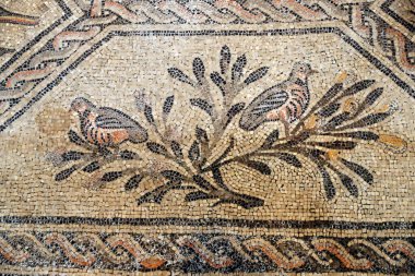 Aquileia 'nın ataerkil Bazilikası. Hristiyan sembolizmiyle mozaik zemin, 4. yüzyıl. İtalya. 