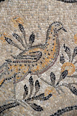 Aquileia 'nın ataerkil Bazilikası. Hristiyan sembolizmiyle mozaik zemin, 4. yüzyıl. İtalya. 