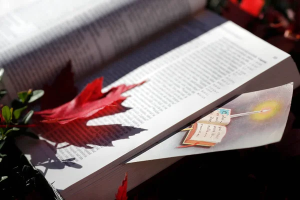 Otwórz Biblię Czerwonym Jesiennym Urlopem Wizerunkiem — Zdjęcie stockowe
