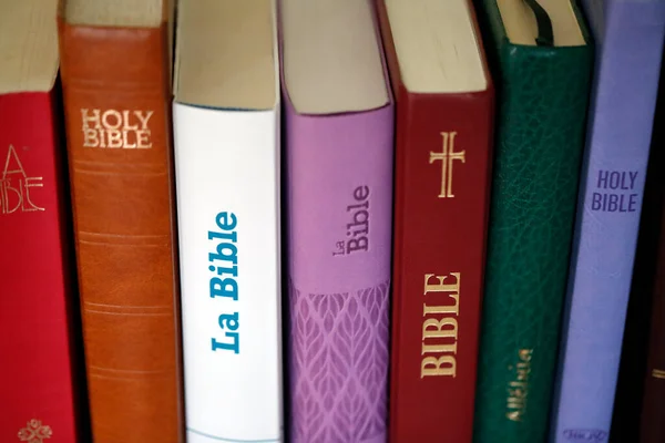 Bíblias Cristãs Diferentes Versões Uma Estante Livros Símbolo Religioso — Fotografia de Stock