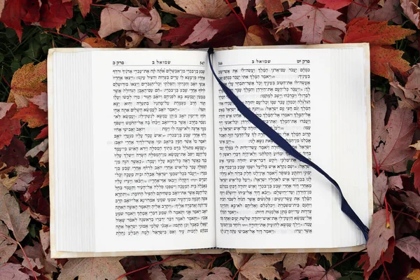 打开希伯来语的托拉书 犹太符号 — 图库照片