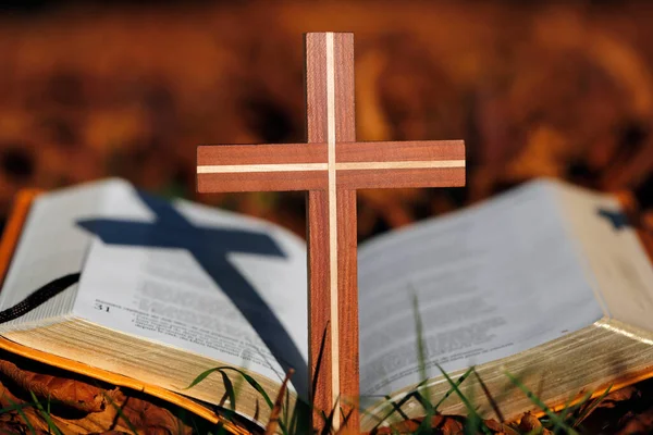 Biblia Aberta Cruz Cristã Folhas Outono Caídas Secas Espiritualidade — Fotografia de Stock
