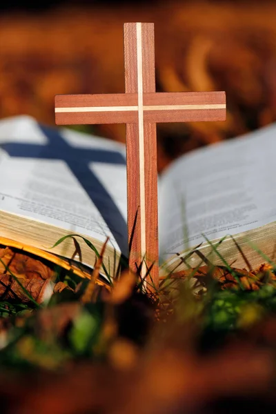 Otevřená Bible Křesťanský Kříž Suchých Spadlých Podzimních Listech Víra Spiritualita — Stock fotografie