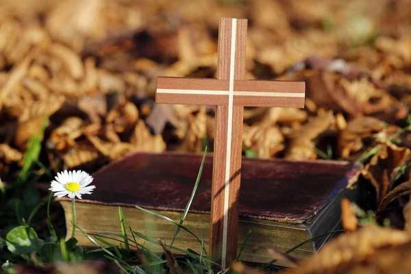 圣经和基督教十字架在秋天干枯的落叶上 信仰和灵性 — 图库照片