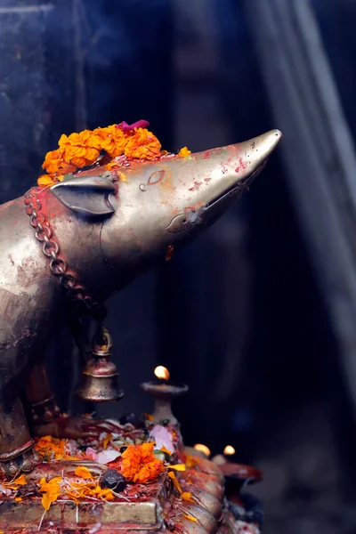 Ένας Χρυσός Αρουραίος Όχημα Του Ganesh Είναι Σκαρφαλωμένος Μια Πλίνθο — Φωτογραφία Αρχείου