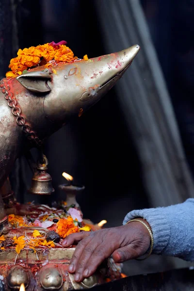 Gyllene Råtta Fordon Ganesh Uppe Sockel Kasthamandap Durbar Square Det — Stockfoto