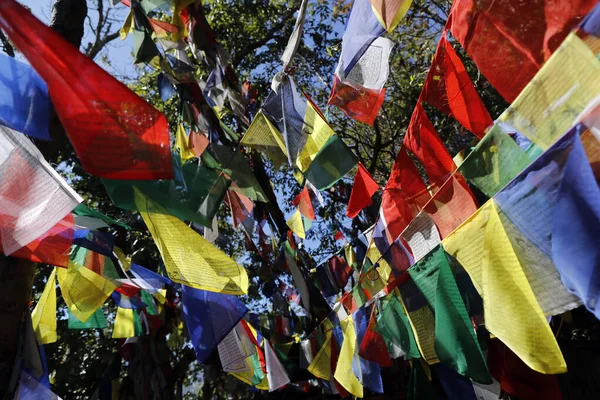 Monastère Pema Osel Ling Drapeau Prière Tibétain Pour Foi Paix — Photo