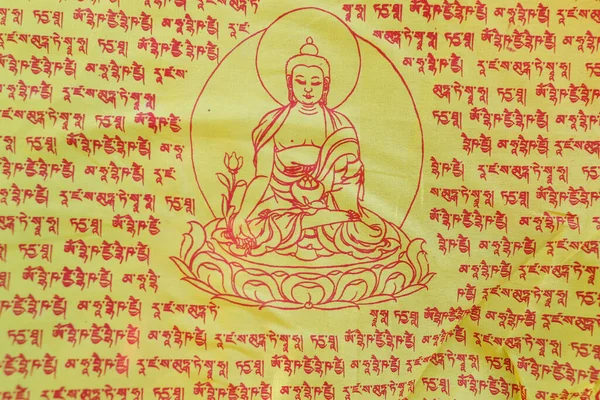 Pema Osel Ling修道院 西藏为信仰 同情和力量而祈祷的旗帜 达克辛卡莉尼泊尔 — 图库照片