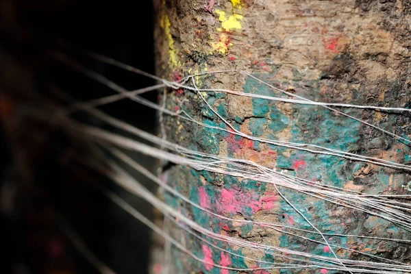 Sacred Tree Tied Cotton Yarns Katmandu Nepal — Stock Photo, Image