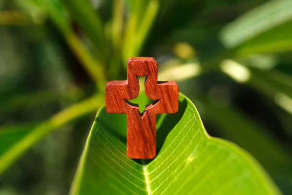 Yeşil Manolya Iznine Çıkmış Kutsal Ruhla Bir Hıristiyan Haçının Yakın — Stok fotoğraf
