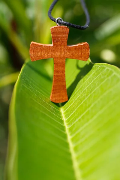 在新鲜的绿色木兰花叶上的基督教十字架特写镜头 信仰和灵性 — 图库照片