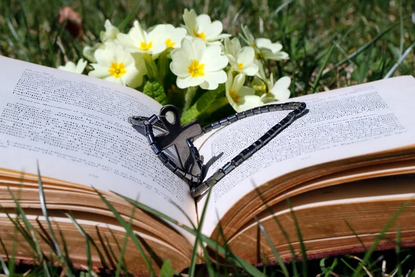 Kristna Kors Bibel Gräset Med Primulor Våren — Stockfoto
