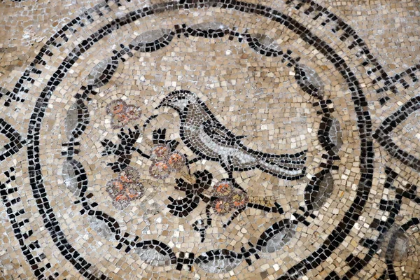 Basilica Patriarcale Aquileia Pavimento Mosaico Con Simbolismo Cristiano Secolo Uccello — Foto Stock