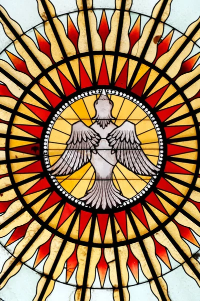 Saint Pothin Church Stained Glass Window Dove Holy Spirit France — Stock Photo, Image