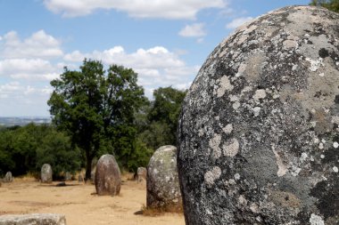 Almendres 'in Cromlech' i megalitik bir kompleks. Avrupa 'nın mevcut en büyük yapılandırılmış menhir gruplarından biridir. Portekiz. 