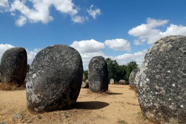 Almendres 'in Cromlech' i megalitik bir kompleks. Avrupa 'nın mevcut en büyük yapılandırılmış menhir gruplarından biridir. Portekiz. 