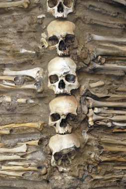 Kemikler Kilisesi, St Francis Kraliyet Kilisesi. Evora. Portekiz. 