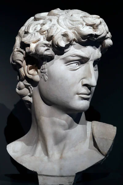 stock image Head of the David. 1848. Plaster by Clemente Papi. Genoa. Italy. 