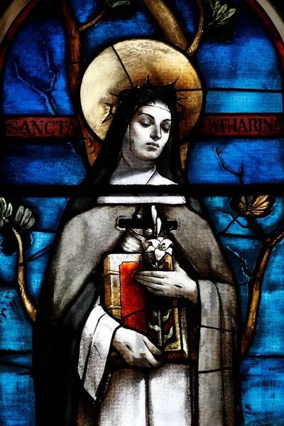 Свята Катерина Сієни Скляне Скло Церква Святої Катаріни Chiesa Santa — стокове фото