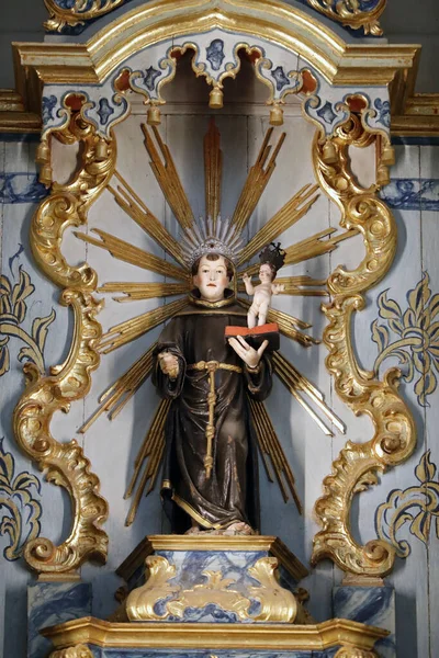 聖フランシス教会 パドヴァの聖アンソニーはキリストの子を持つ エヴォラ ポルトガル — ストック写真