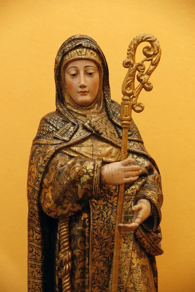 Muzeum Evory Clare Assisi Pozlacené Dřevo Polychromní Století Portugalsko — Stock fotografie