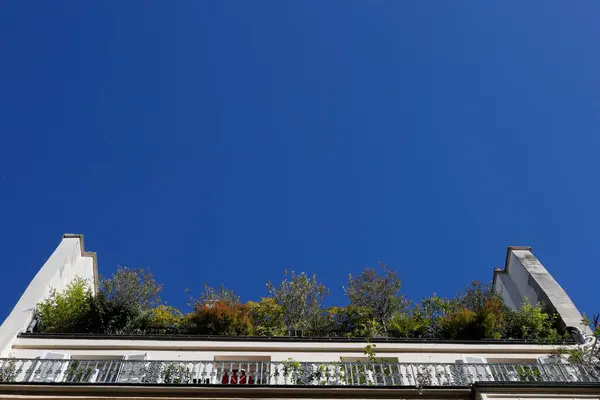 Régi Luxus Párizsi Épület Homlokzata Felső Emeleti Erkéllyel Franciaország — Stock Fotó