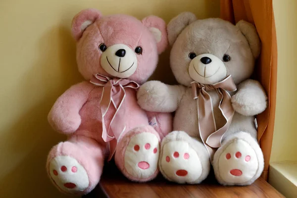 Escola Primária Brinquedos Dois Ursinhos Cor Rosa Conceito Infância Nepal — Fotografia de Stock