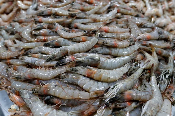 Свіжі Креветки Продажу Дубайському Рибному Ринку Оае — стокове фото