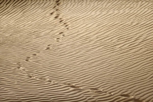 Padrões Areia Pegadas Humanas Num Deserto Dubai Emirados Árabes Unidos — Fotografia de Stock