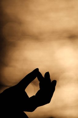 Nilüfer pozisyonunda meditasyon yapan genç bir kadının elini kapat. Gün batımında yoga.. 