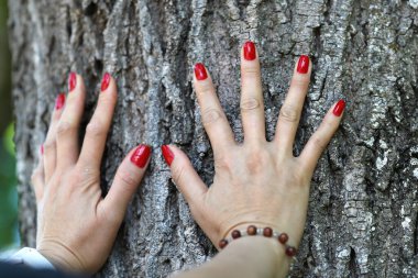 Ormandaki kadın. Elleri ormanda ağaç gövdesine sarılıyor. Fransa. 