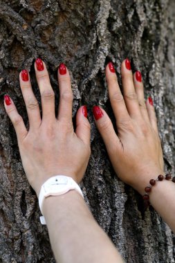 Ormandaki kadın. Elleri ormanda ağaç gövdesine sarılıyor. Fransa. 