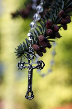 Çam ağacının dalında çarmıhta İsa 'nın olduğu Katolik tespihi. Ekoloji ve dini kavram.