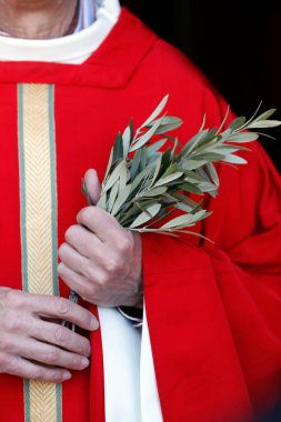 Kutsal hafta. Palm Sunday ayini. İsviçre.