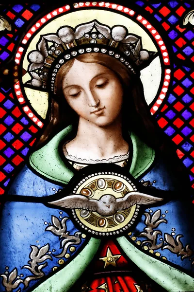 圣朱利安在日内瓦的教堂 缝隙玻璃窗 圣母玛利亚和圣灵法国 — 图库照片