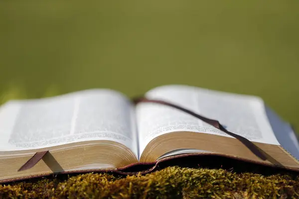 Otwórz Biblię Skale Mchem — Zdjęcie stockowe