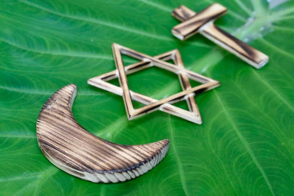 Hristiyanlık Slam Musevilik Tek Tanrılı Din Yeşil Yapraklı Yahudi Yıldızı — Stok fotoğraf