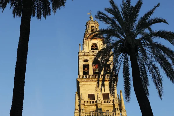 Moschee Kathedrale Von Cordoba Der Glockenturm Spanien — Stockfoto