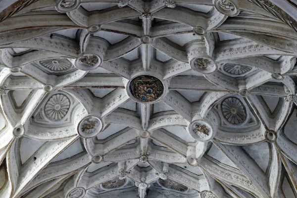 Cordoba Mecset Katedrálisa Szűzanya Fogantatásának Katedrálisának Belseje Vaulted Mennyezet Díszített — Stock Fotó
