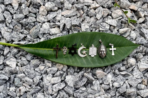 stock image Religious symbols  on a green leaf :  Catholic, Islam, Judaism, Orthodox, Protestant, Buddhism and Hinduism. Interreligious, interfaith, spirituality and ecology concept.