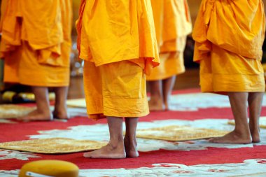 Ba Vang Budist tapınağı. Dini ayinlerdeki keşişler. Budist merasimi. Ayaklara yakın çekim. Uong Bi. Vietnam. 