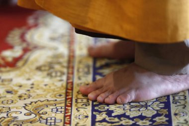 Phuoc Long Budist tapınağı. Budist töreni. Yürüyerek yaklaş. Tan Chau. Vietnam. 